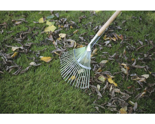 Râteau à feuilles en métal avec manche en bois sur pelouse avec feuilles