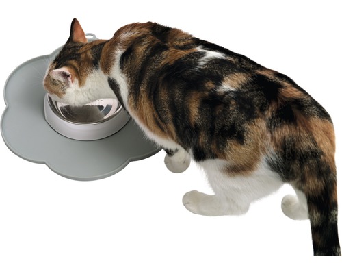 Chat mangeant dans une gamelle en acier inoxydable sur un dessous de plat en forme de fleur. Gamelle pour chat