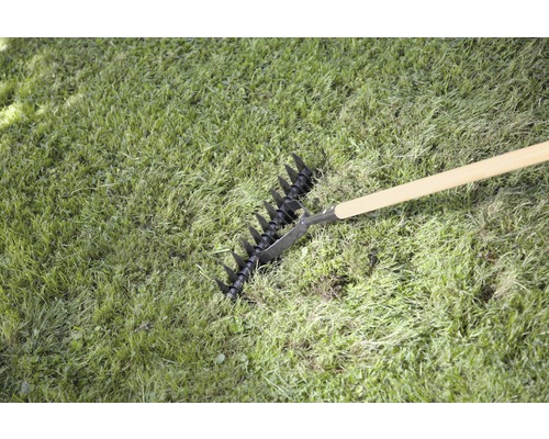 Scarificateur dans l''herbe