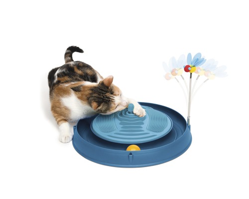 Chat jouant avec un jouet interactif pour chat