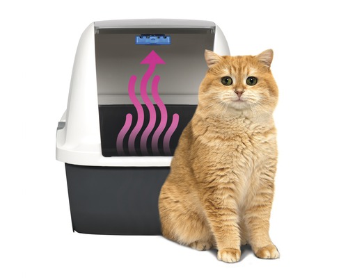 Chat assis à côté de litière pour chat avec filtre anti-odeurs