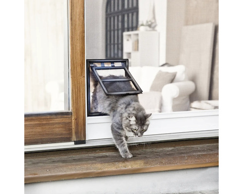 Chat utilisant une chatière dans une vitre