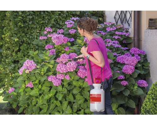 Frau verwendet eine Gartenspritze, um Blumen zu bewässern