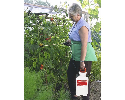 Frau verwendet eine Gartenspritze zur Schädlingsbekämpfung an Tomatenpflanzen im Gewächshaus.