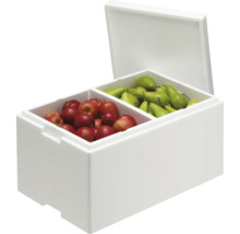 Boîte isotherme ouverte avec pommes et poires