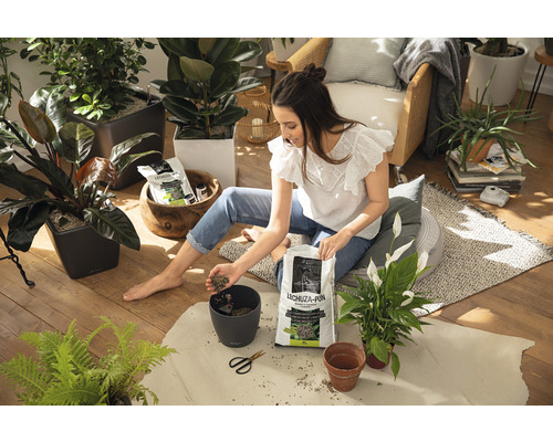 Une femme assise par terre remplit un pot de fleurs avec du substrat de culture Lechuza Pon, entourée de plantes d''intérieur