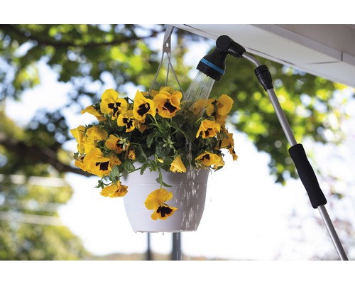 Gelbe Blumen in einem Hängetopf werden mit einem Wasserschlauch bewässert.