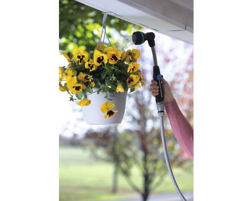 Bewässerung einer gelben Hängepflanze mit einem Gartenschlauch