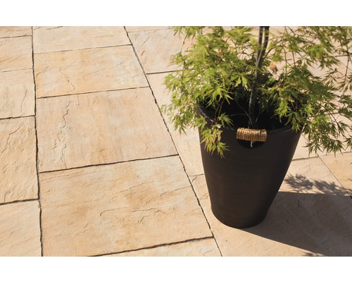 Dalles de jardin posées avec plante en pot