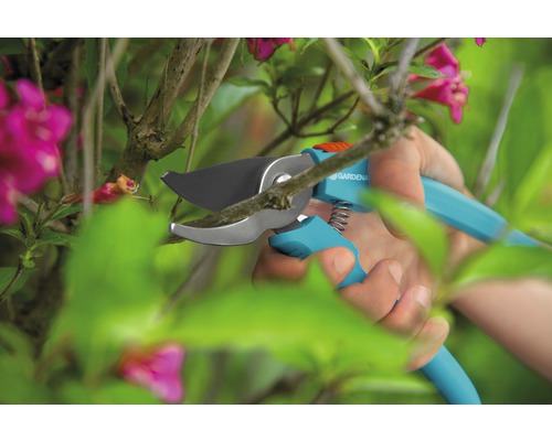 Sécateur Gardena coupant une branche