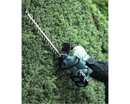 Akkubetriebene Heckenschere im Einsatz an einer Hecke