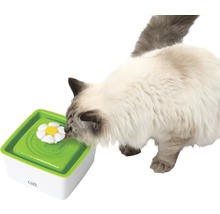 Chat buvant dans une fontaine à eau avec motif floral