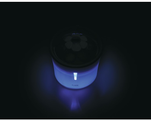 Fontaine pour chat avec lumière bleue