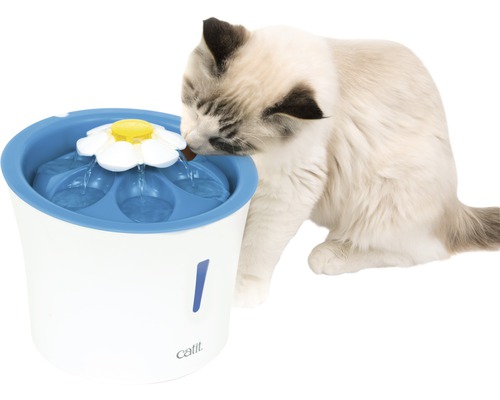 Chat buvant dans une fontaine à eau avec un embout en forme de fleur