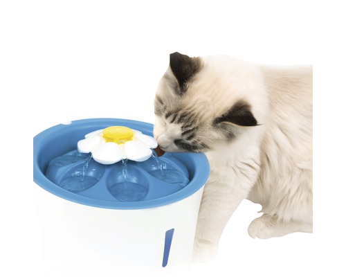 Chat buvant dans une fontaine à eau bleue et blanche