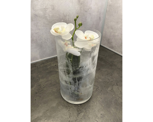 Orchidée dans vase en verre