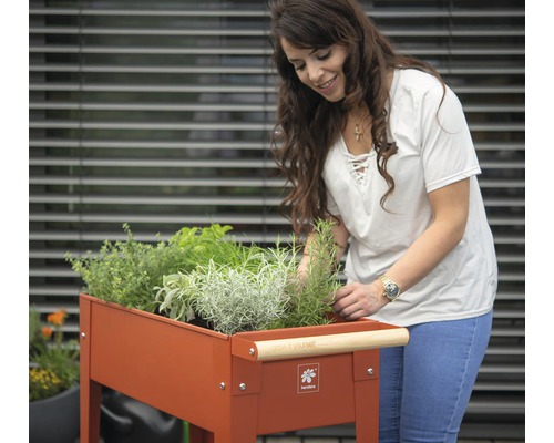 Femme plantant un potager surélevé avec diverses herbes.