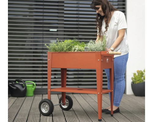 Une femme travaille sur un potager surélevé mobile avec des herbes aromatiques sur une terrasse.