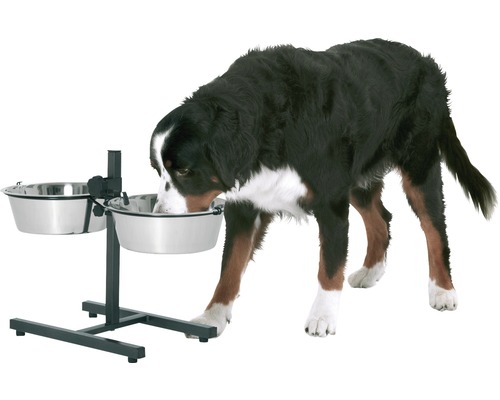 Hund frisst aus einem erhöhten Hundenapf mit zwei Edelstahlschüsseln.