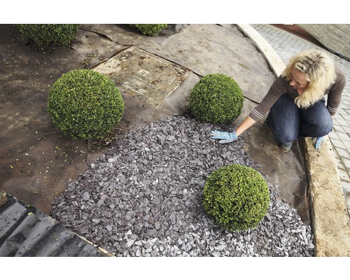 Gartenszene mit Zierkies und Buchsbäumen, eine Frau verteilt den Kies
