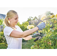 Frau schneidet Rosen mit einer Gartenschere