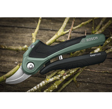 Bosch EasyPrune Gartenschere auf Ästen