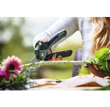 Eine Person schneidet mit einer Akku Gartenschere einen Pflanzenstiel.