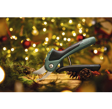 Bosch EasyPrune Akku Gartenschere vor weihnachtlichem Hintergrund