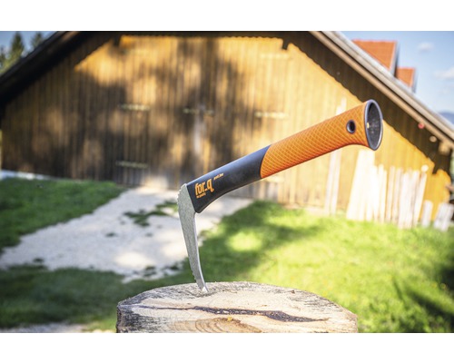 for.q Sape dans une bûche