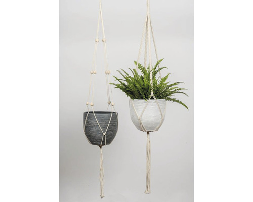 Zwei hängende Blumentöpfe mit Makramee-Aufhängung und Pflanzen