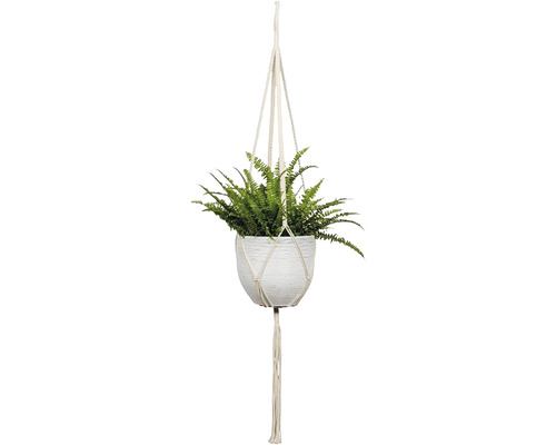 Suspension pour plantes avec pot et plante Suspension pour plantes avec pot et plante