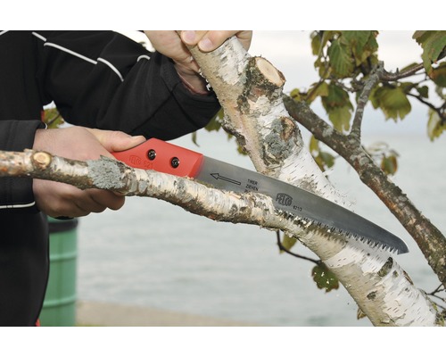 Person sägt Ast mit Handsäge