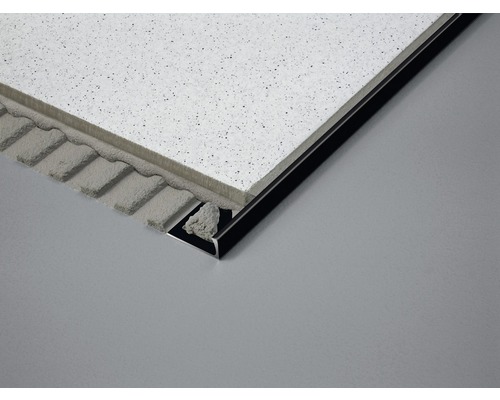 Detailaufnahme einer Fliesenleiste aus Metall mit angrenzenden Fliesen