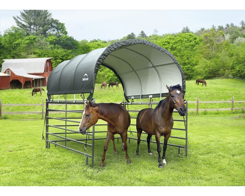 Abri pour chevaux avec deux chevaux dans un pré vert