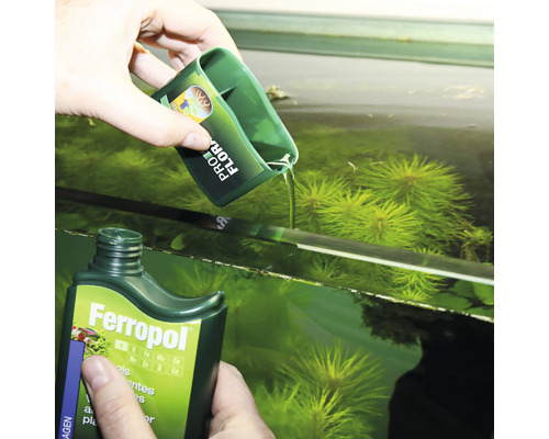 Personne ajoutant du liquide d''une bouteille Ferropol avec un gobelet doseur dans un aquarium