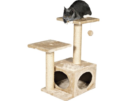 Chat sur un arbre à chat avec des plateformes et une niche