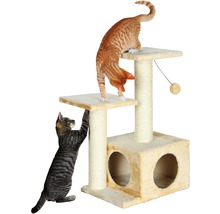 Arbre à chat avec deux chats
