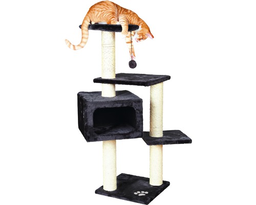 Chat sur un arbre à chat avec des surfaces de couchage et une grotte