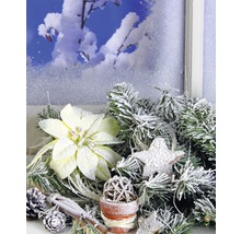 Décoration hivernale avec des branches de sapin, une étoile, des bâtons de cannelle et un poinsettia devant une fenêtre