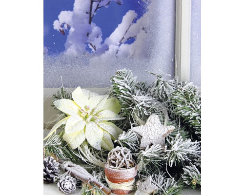 Décoration hivernale avec des branches de sapin, une étoile, des bâtons de cannelle et un poinsettia devant une fenêtre