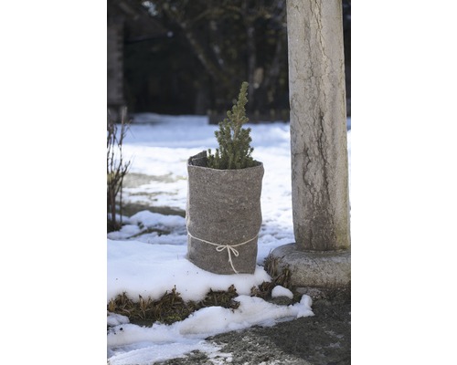 Petit conifère en pot avec sac de jute dans le jardin en hiver