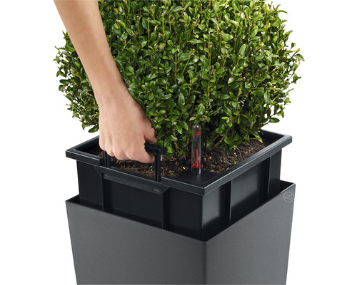 Gros plan d''un pot de fleurs carré avec système d''irrigation et d''une main vérifiant le niveau d''eau.