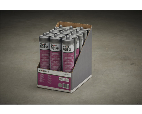Packung Sanitärsilikon AkkIt 601