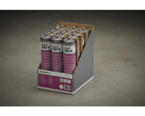 Cartouches de silicone sanitaire AkkKit 601 dans un carton de vente