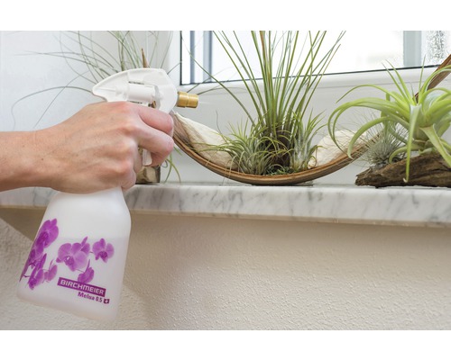 Une main vaporise des plantes d''intérieur avec un pulvérisateur Birchmeier Melua 0.5.