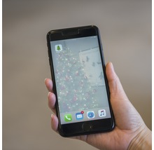 Un téléphone portable est tenu à la main et affiche l''application Hornbach avec un arbre de Noël en arrière-plan.