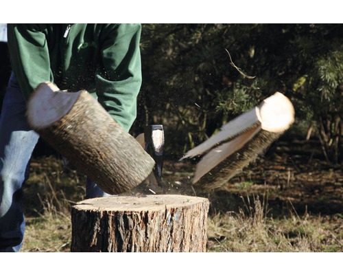 Holzspalter in Aktion: Ein Holzscheit wird mit einer Axt auf einem Hackklotz gespalten.