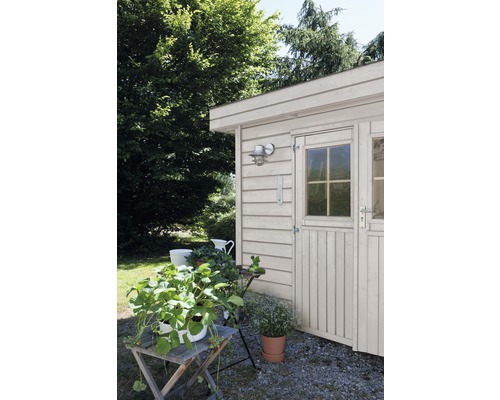 Scène de jardin avec abri de jardin, plantes et accessoires de jardin