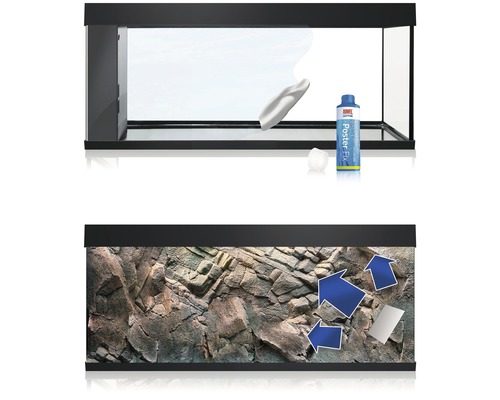 Aquarium avec fond de roches, colle et accessoires