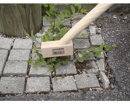 Balayette à main Lessmann avec manche en bois et bloc en bois